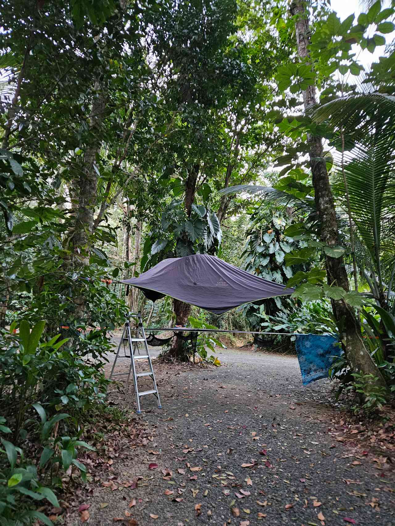 Tree tent