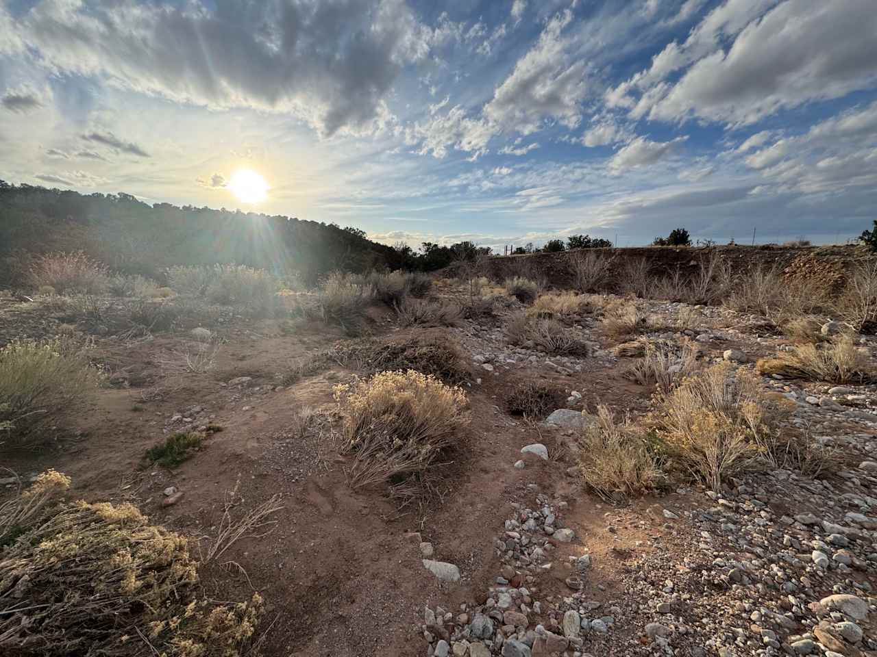 Tierra del RavenTree