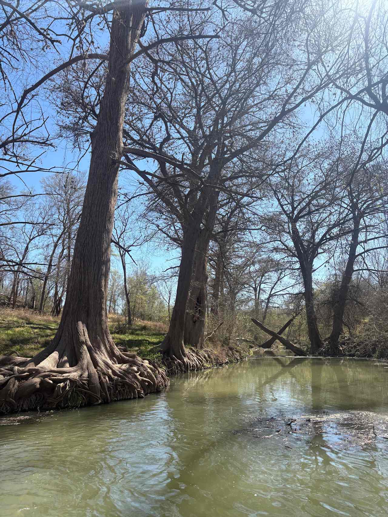 Old Herrera Ranch - Medina River