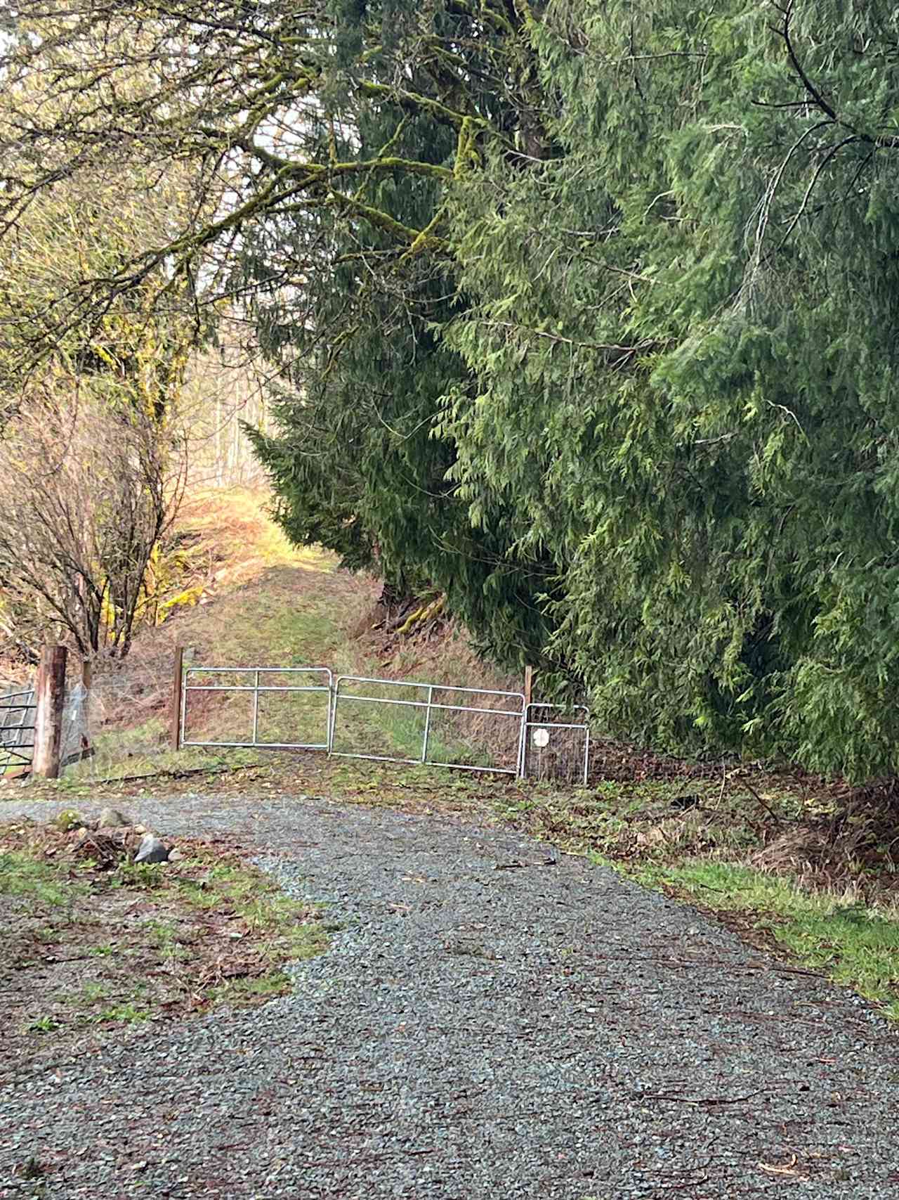 Ruby's Run Farm & Forest