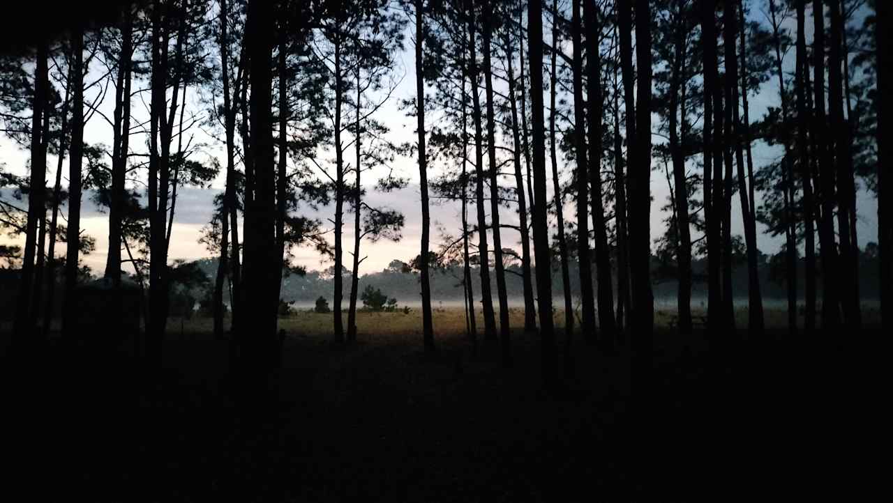 Hanscombe Point Plantation