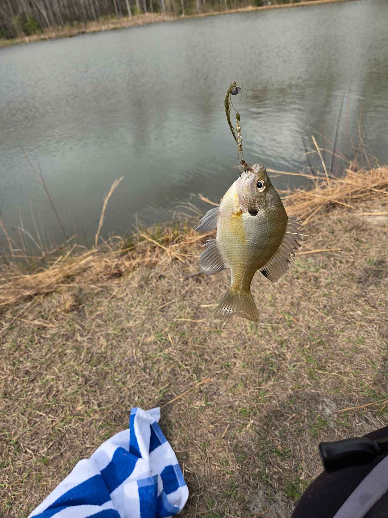Camping on Pipers Pond
