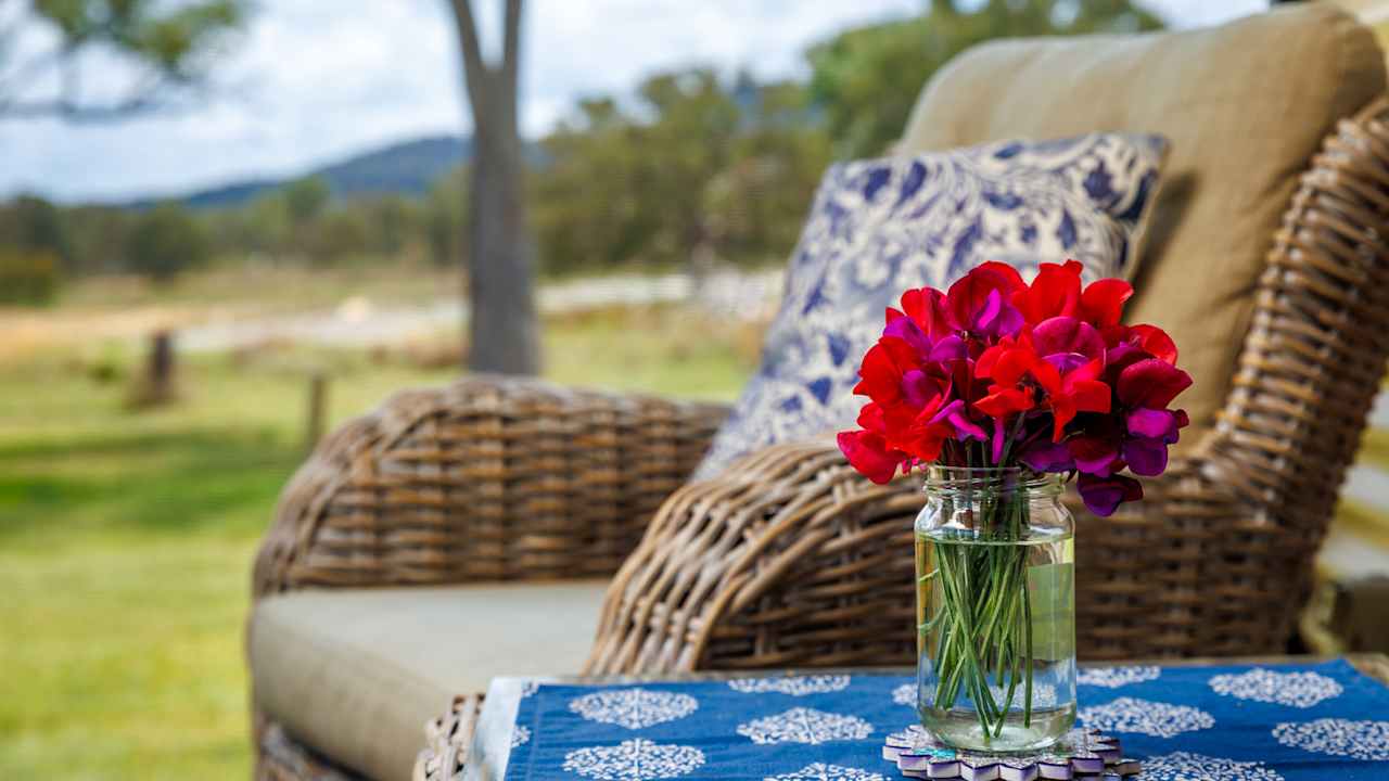 Stargazers Escape Cottages