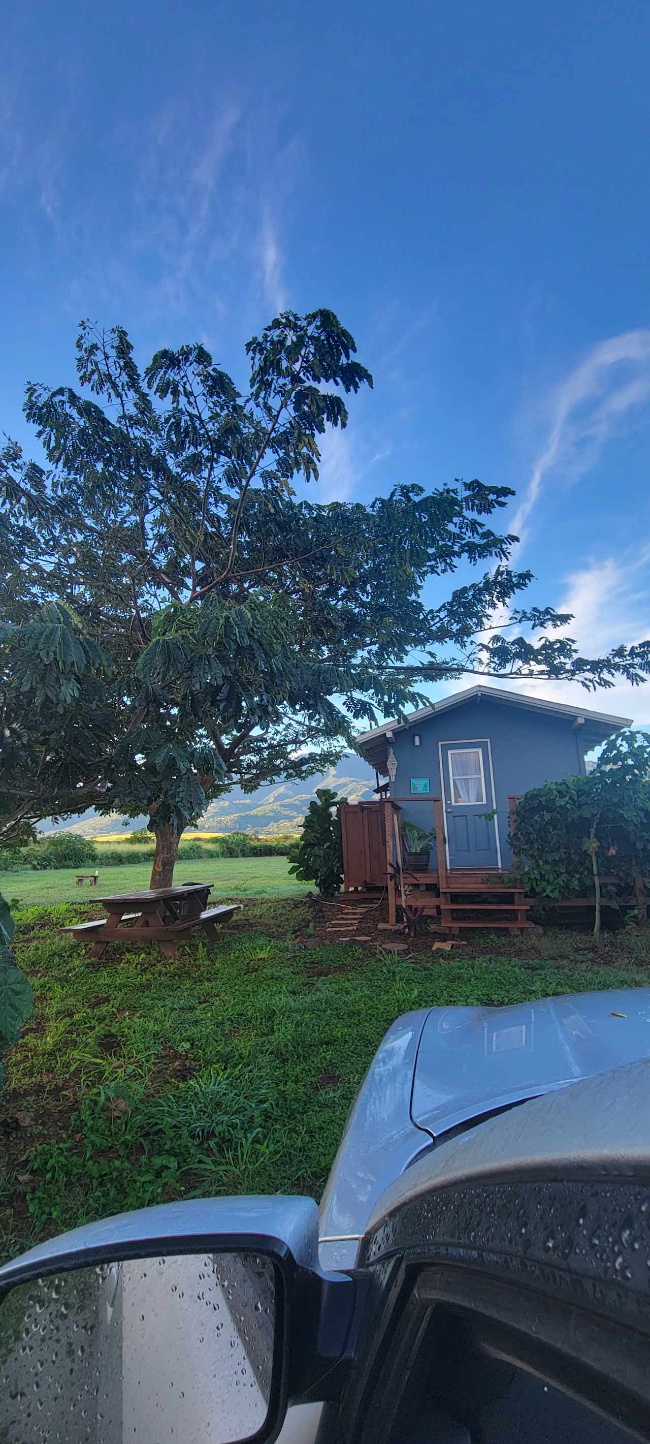 Peaceful Tiny Home North Shore