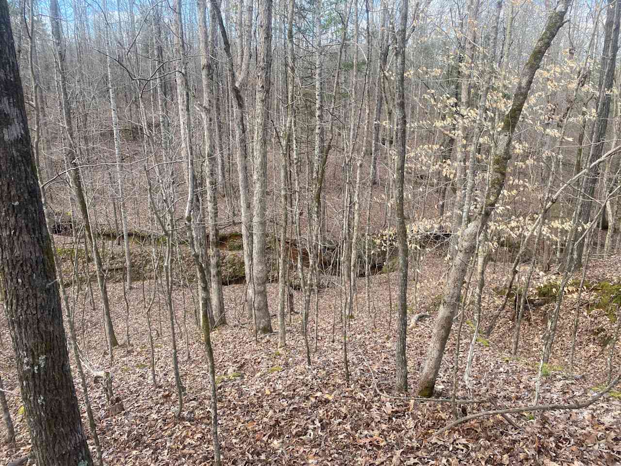 Camp Coonewah