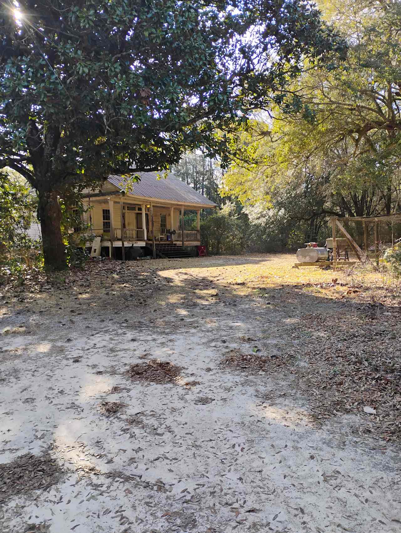 Too Many Oaks Plantation