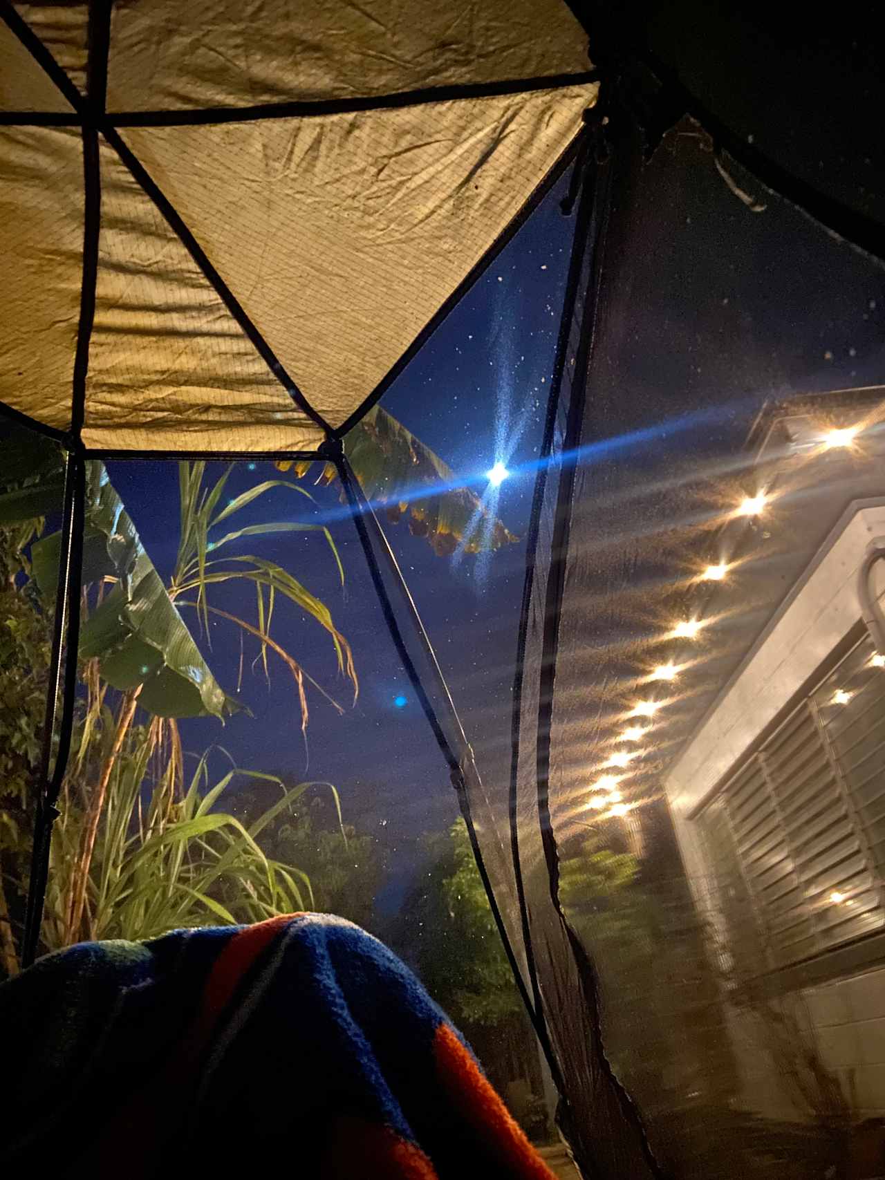 St Pete Micro Farm