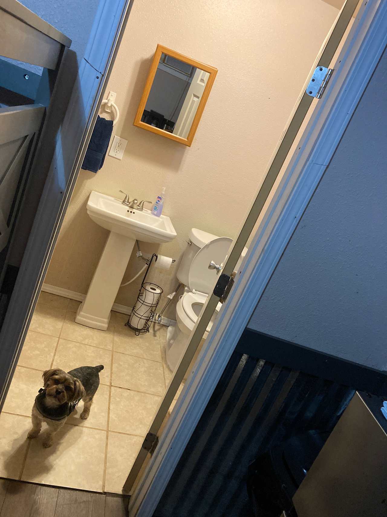 Full bathroom with shower.