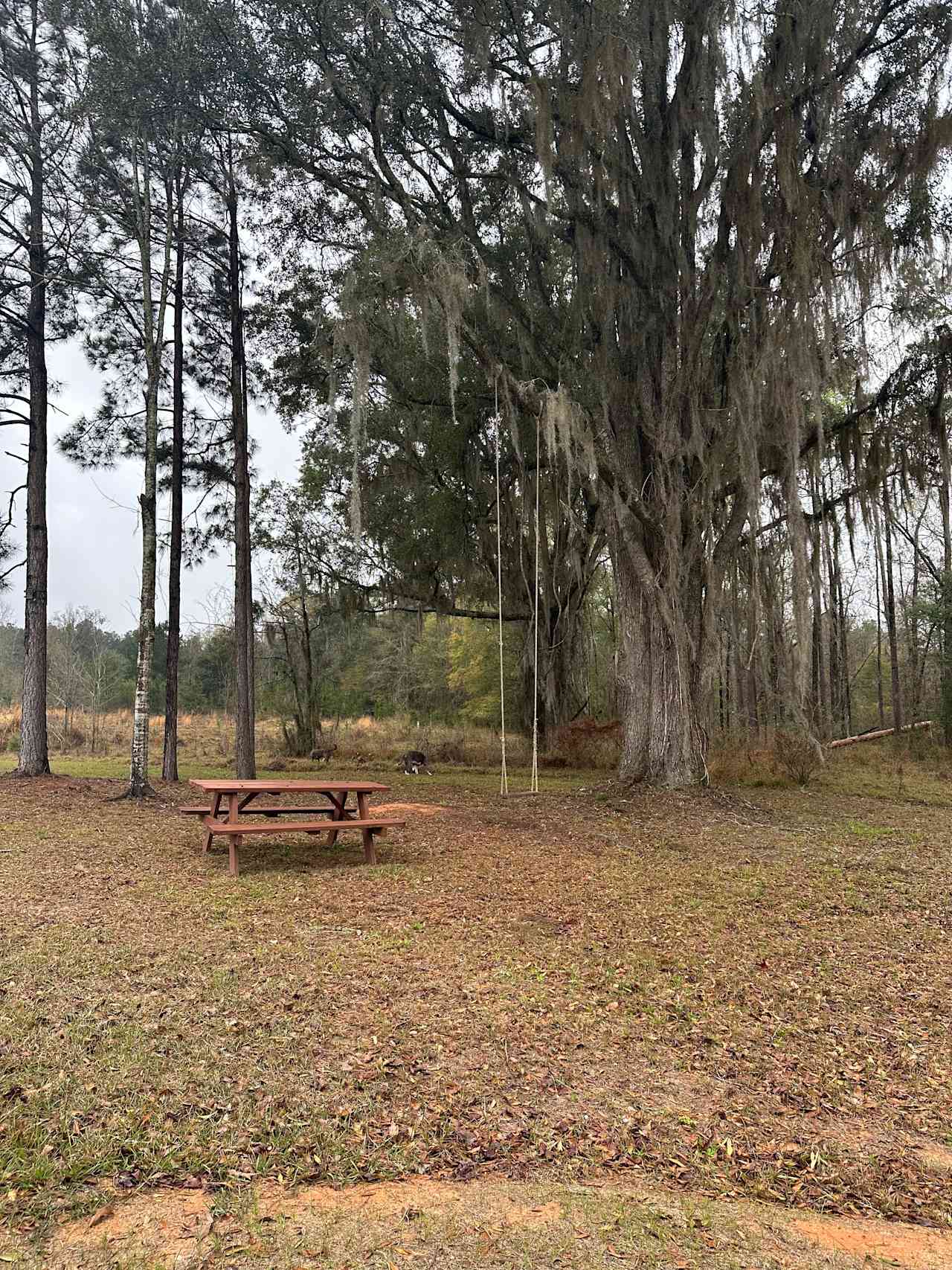 Twin Pines Lakeside RV