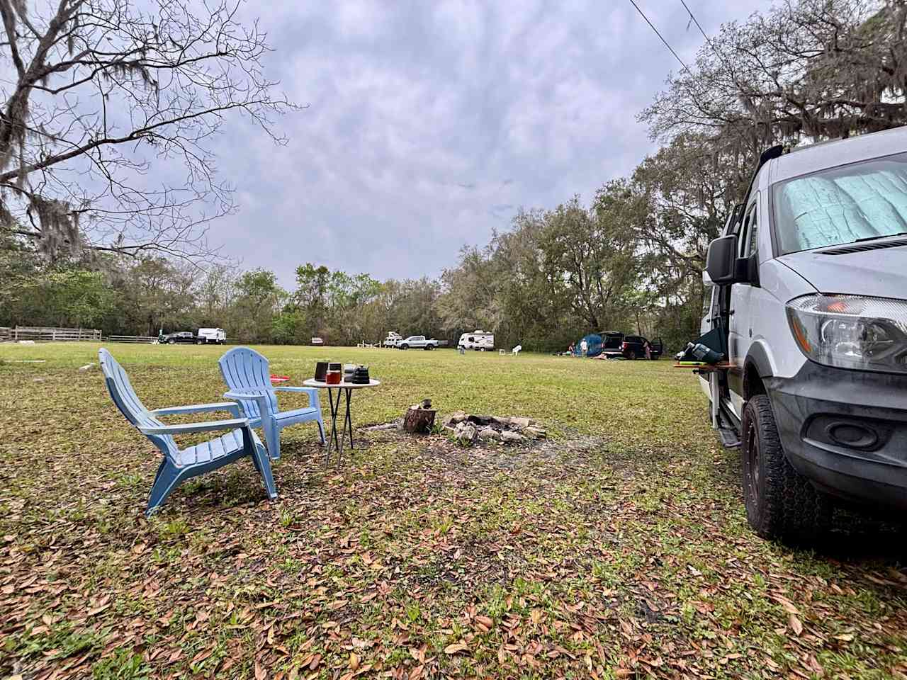 Wooded areas in a horse pasture