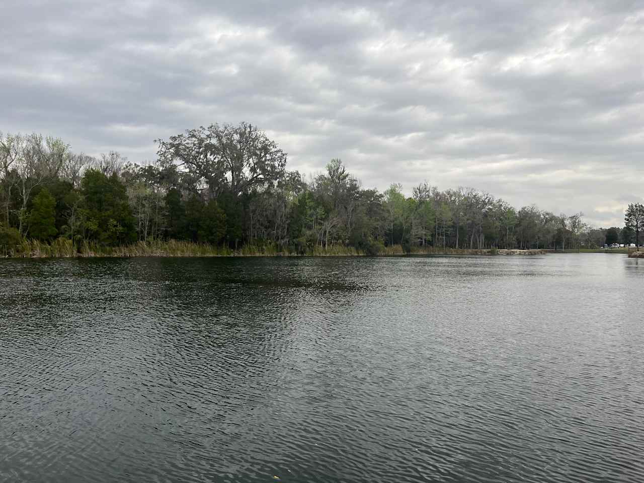 Sweet Citrus Acres RV Resort