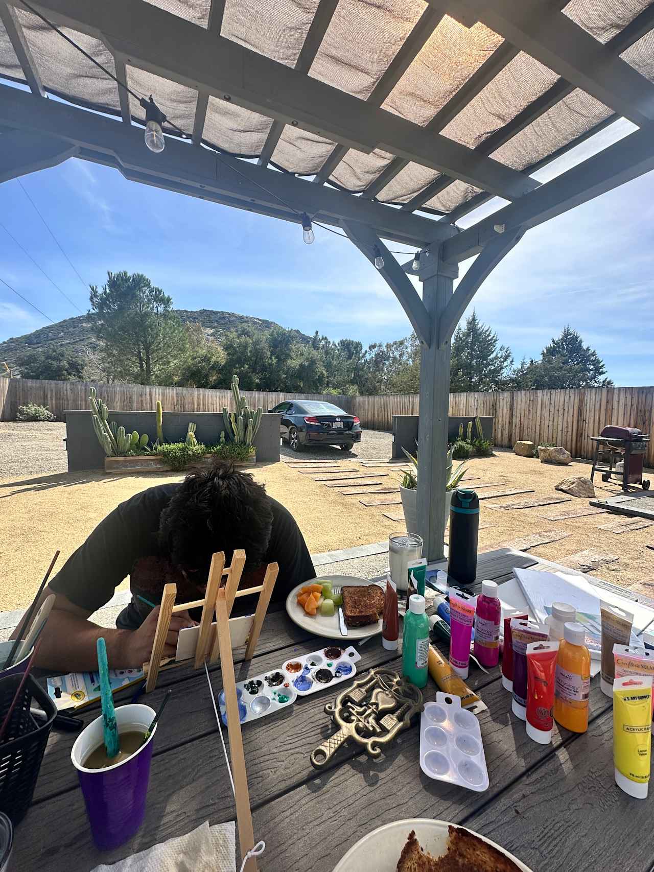 Glamping HypeDome in Campo, CA