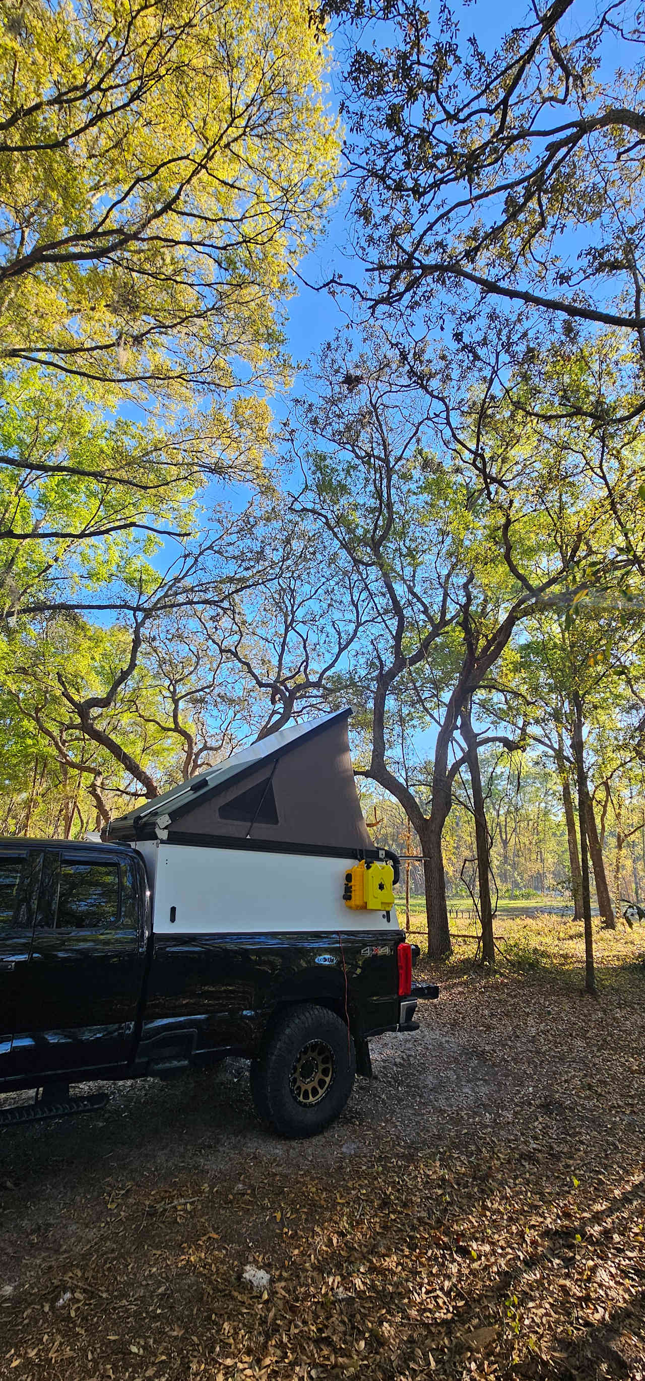 Nature's hug camping