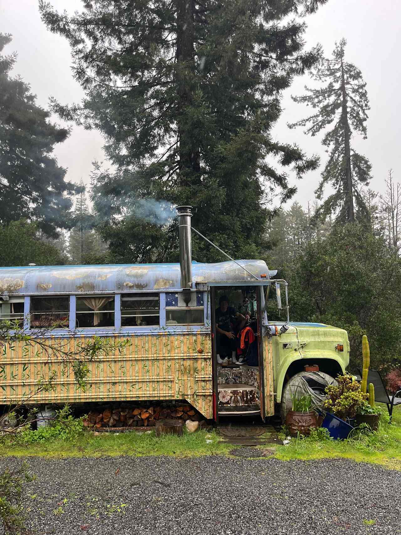 Bohemian Bus