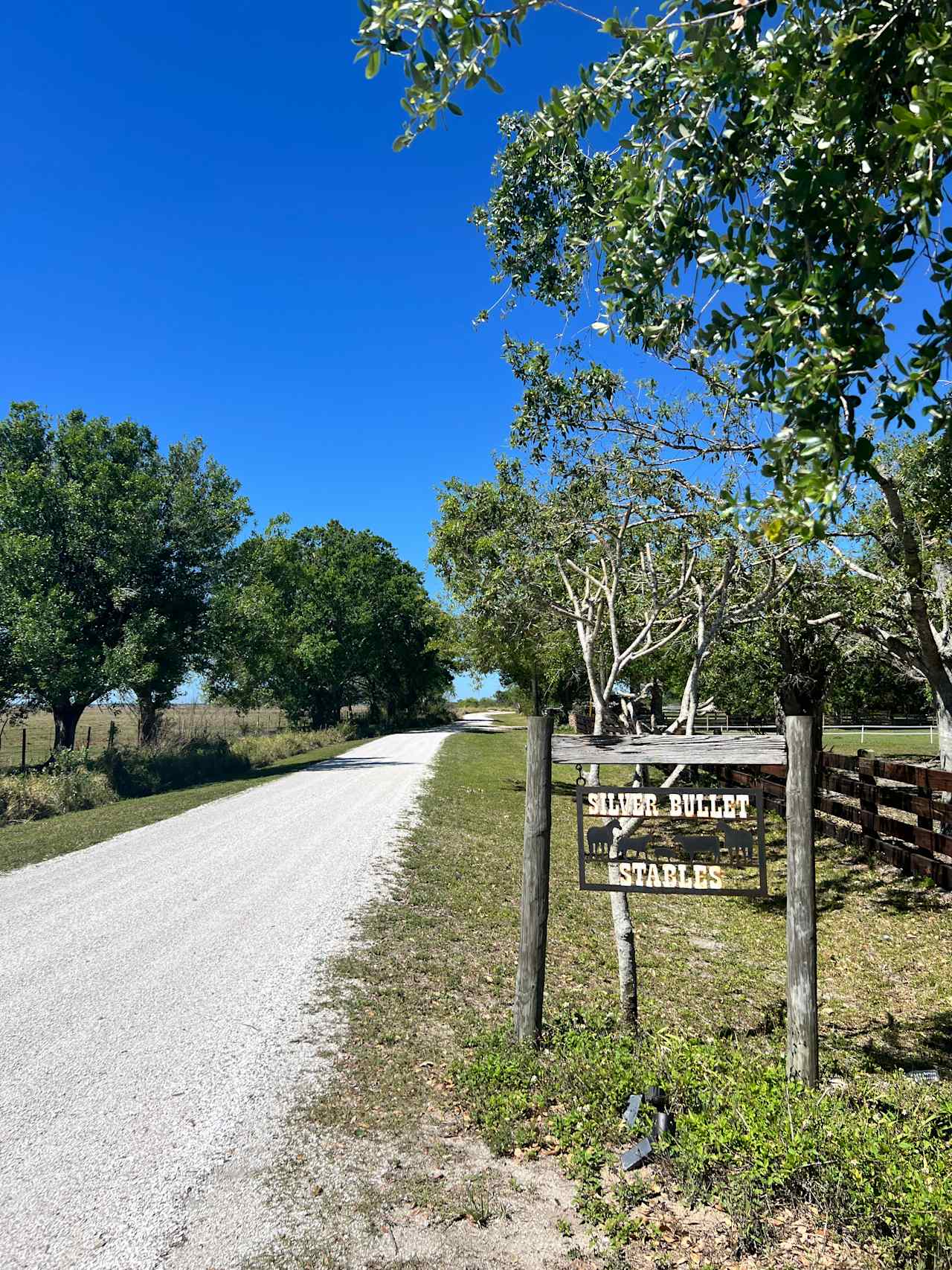 Silver Bullet Stables