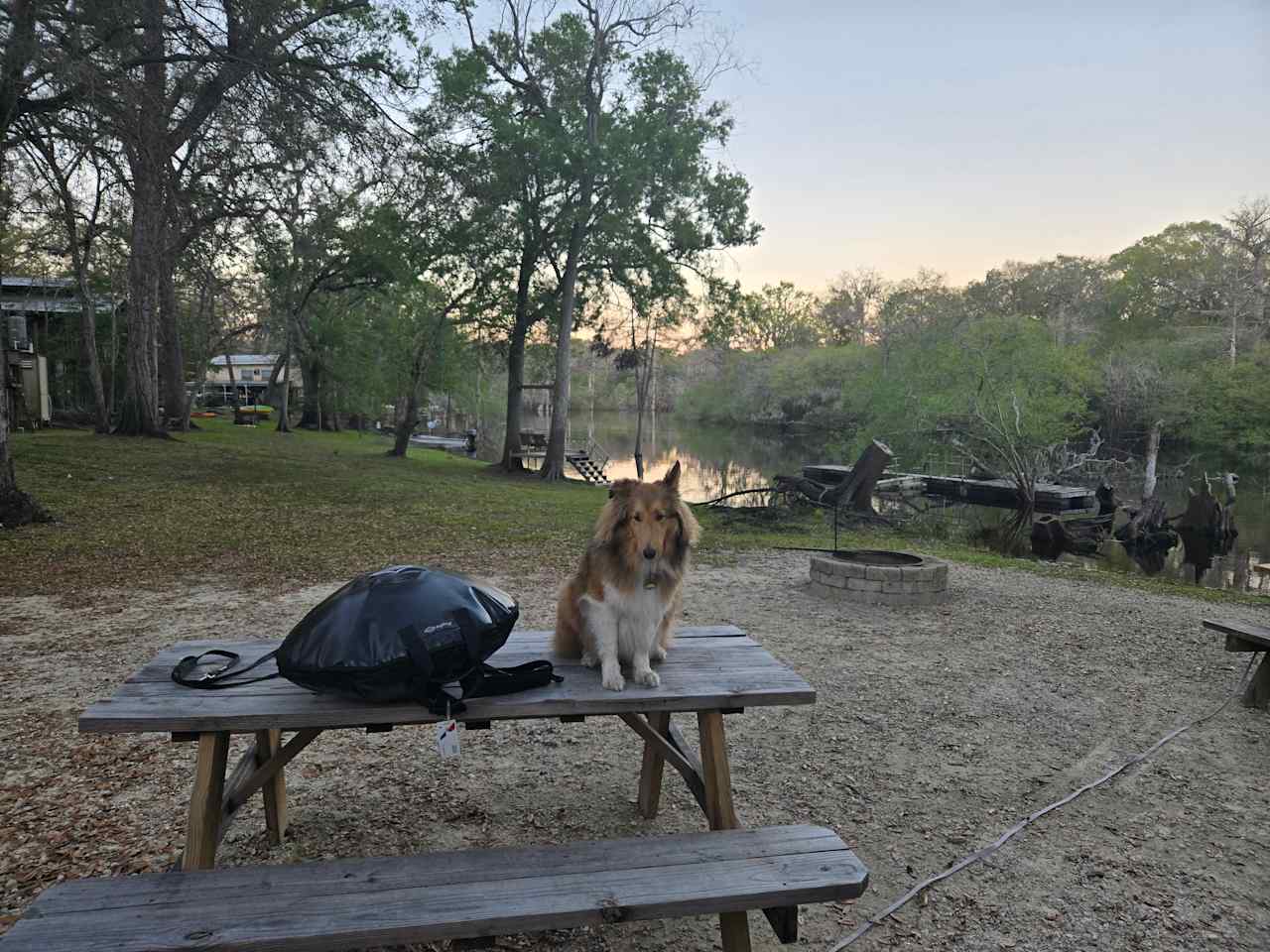 4A River Camp