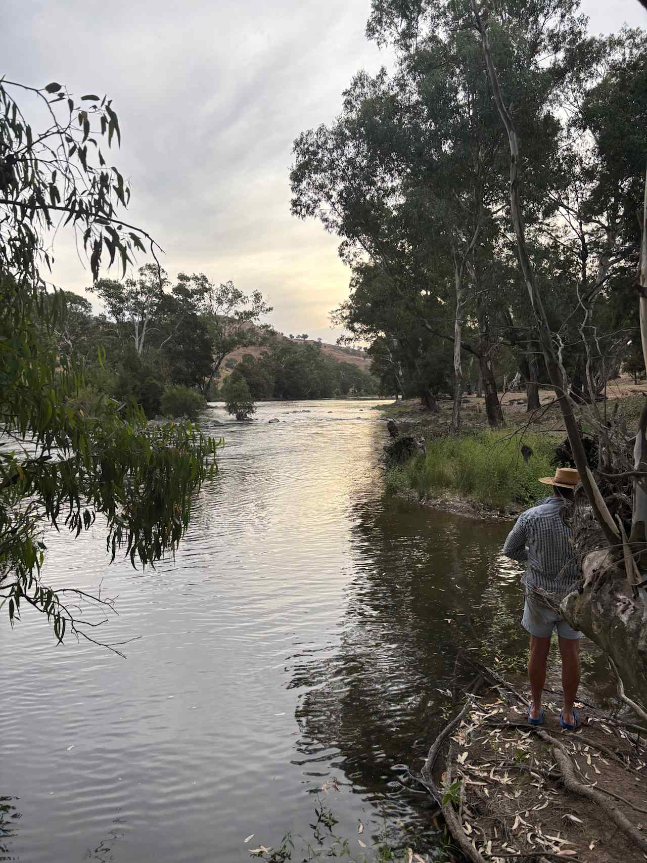 Jarabin on the Murrumbidgee