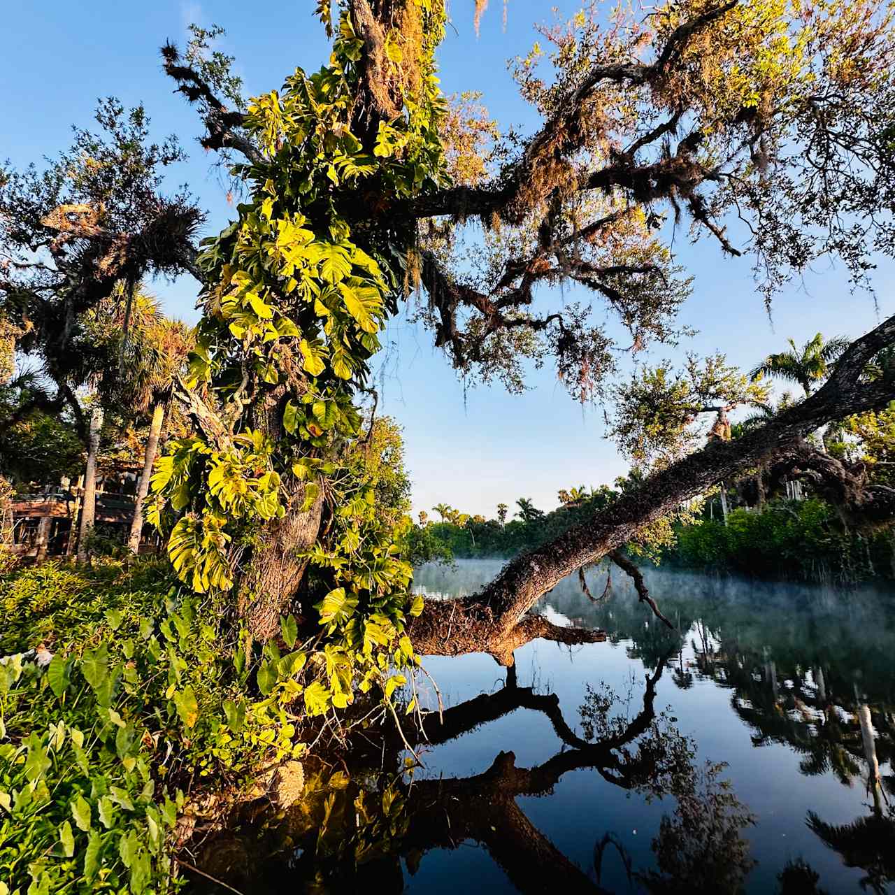 Orange River Getaway