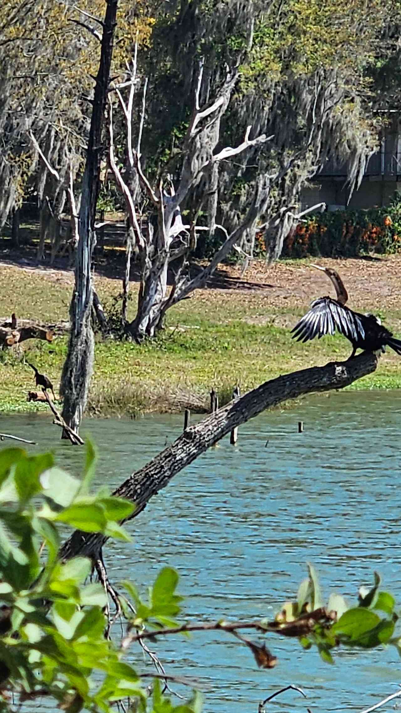 Jack's Landing-Old Florida Lakeside
