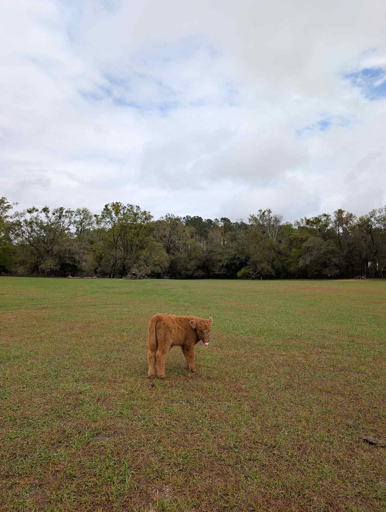 Glenn Farm