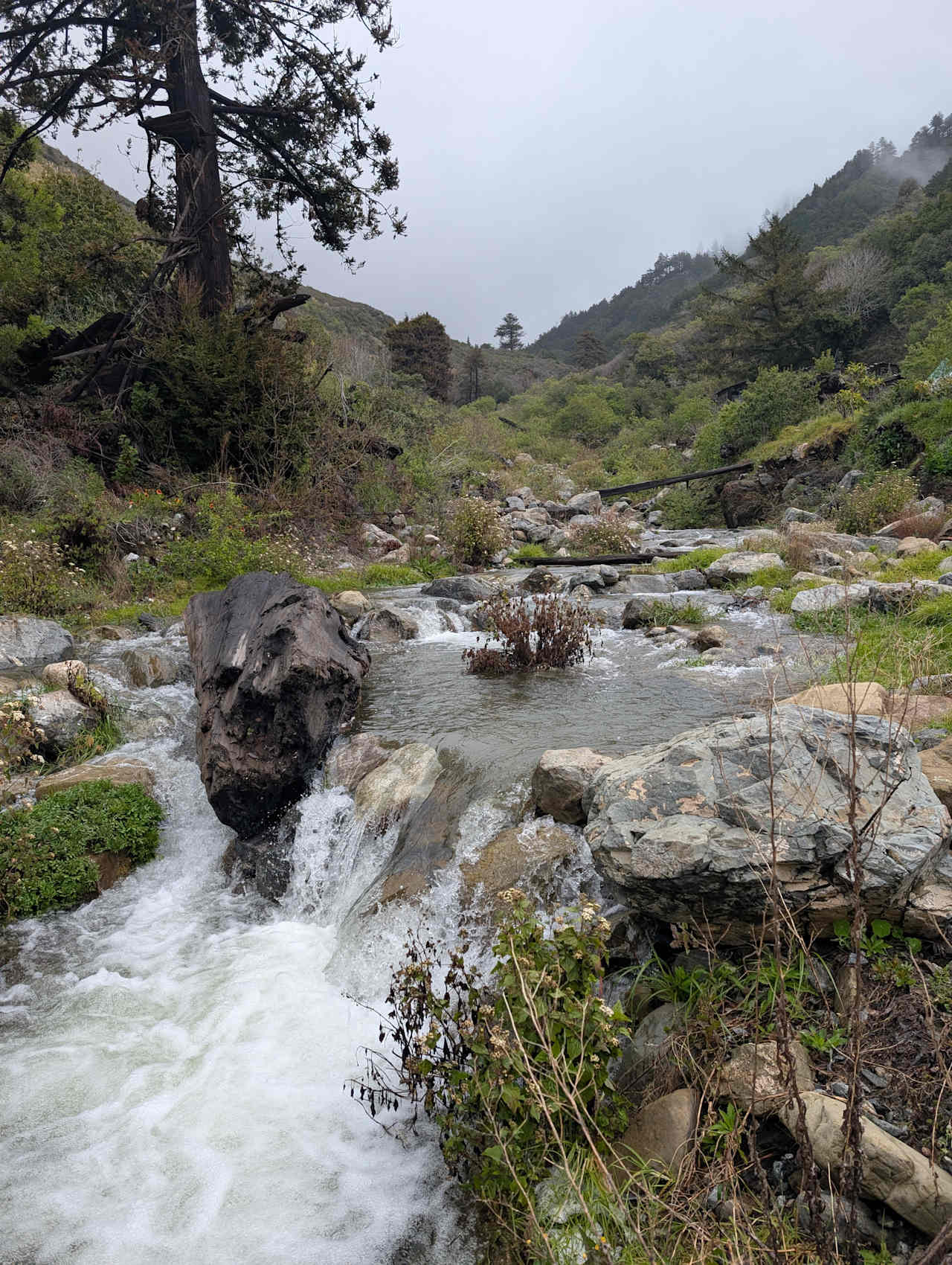 dabudage Big Sur