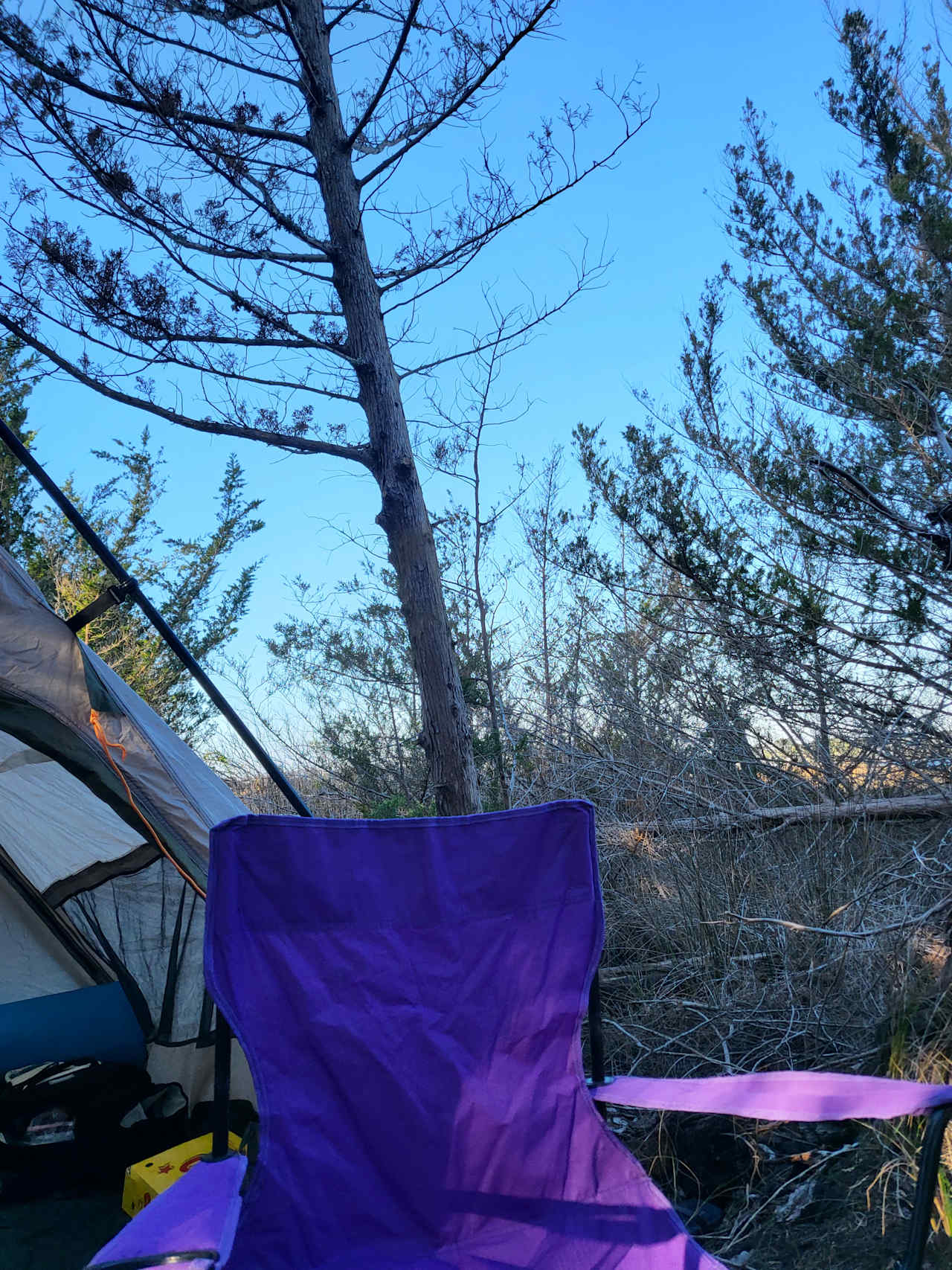 Crockett Landing