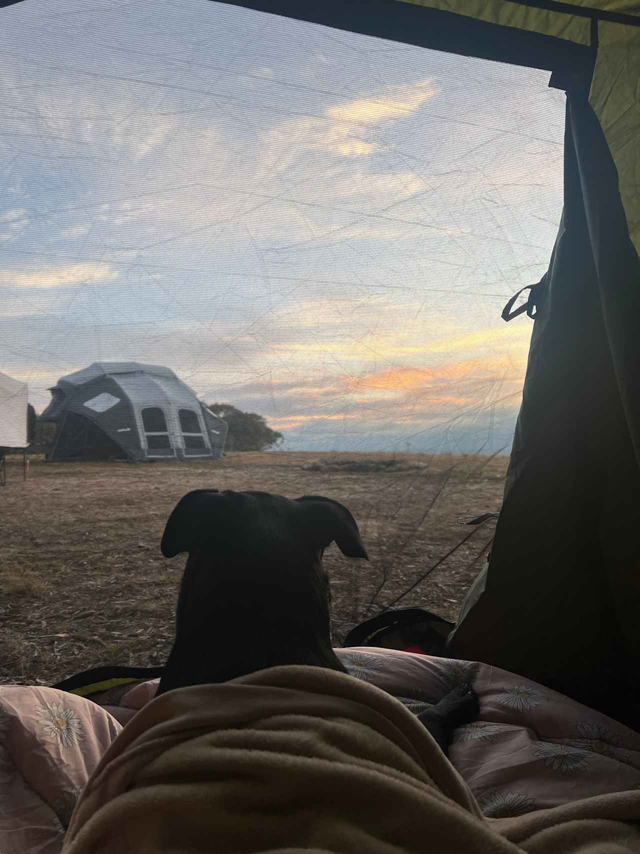 Mount Testa Campgrounds