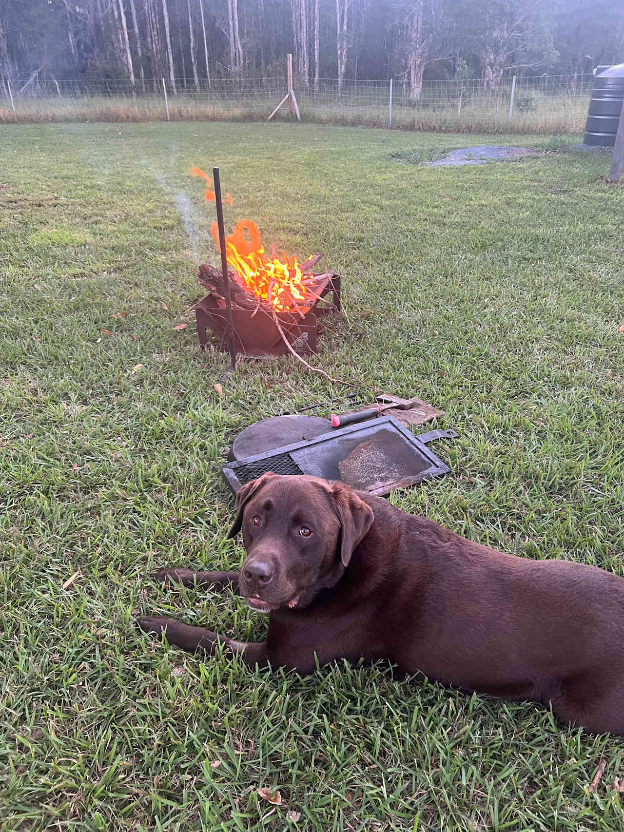 Grassy site - friendly for adults, kids and fur babies 