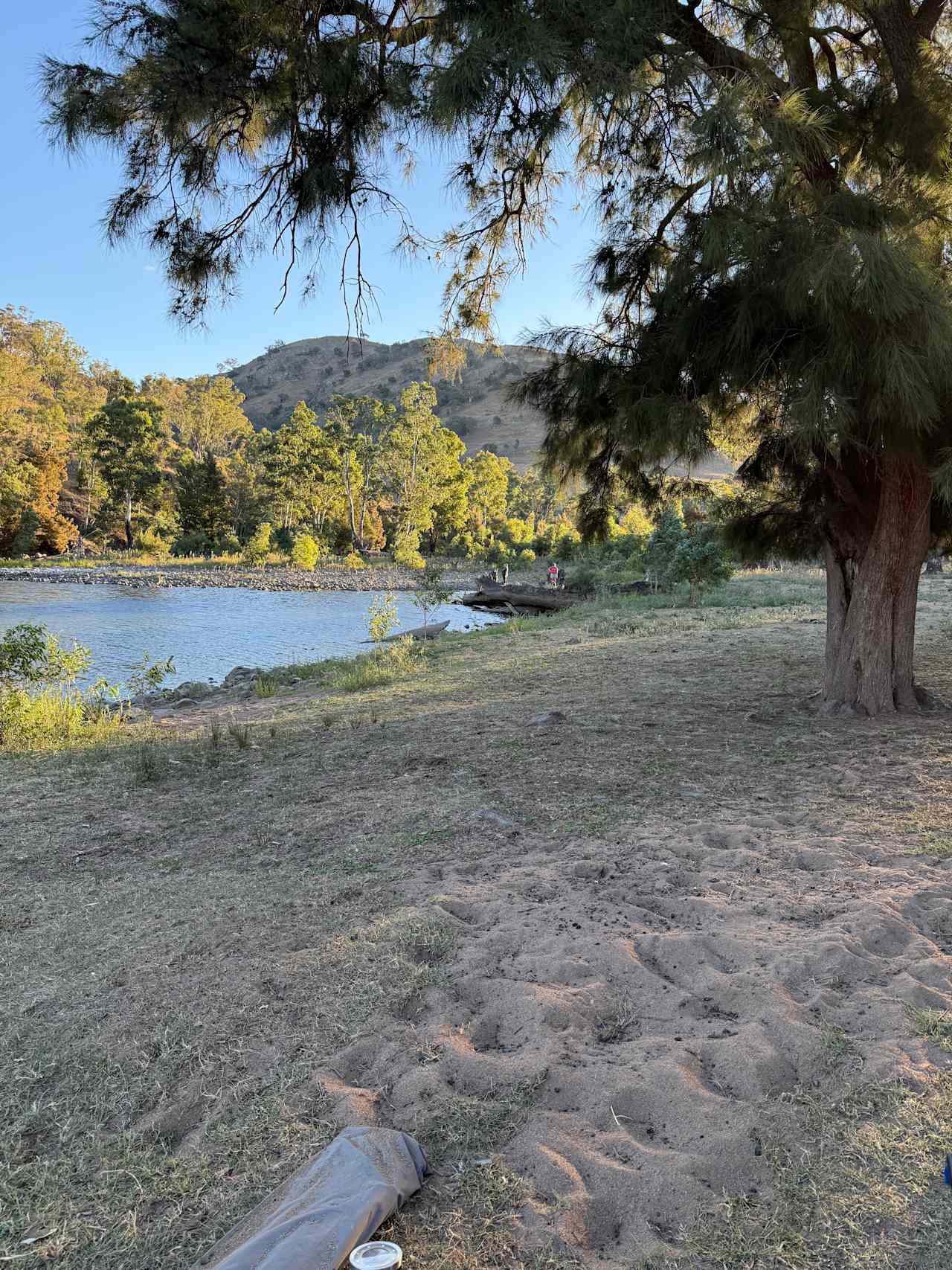 Jarabin on the Murrumbidgee