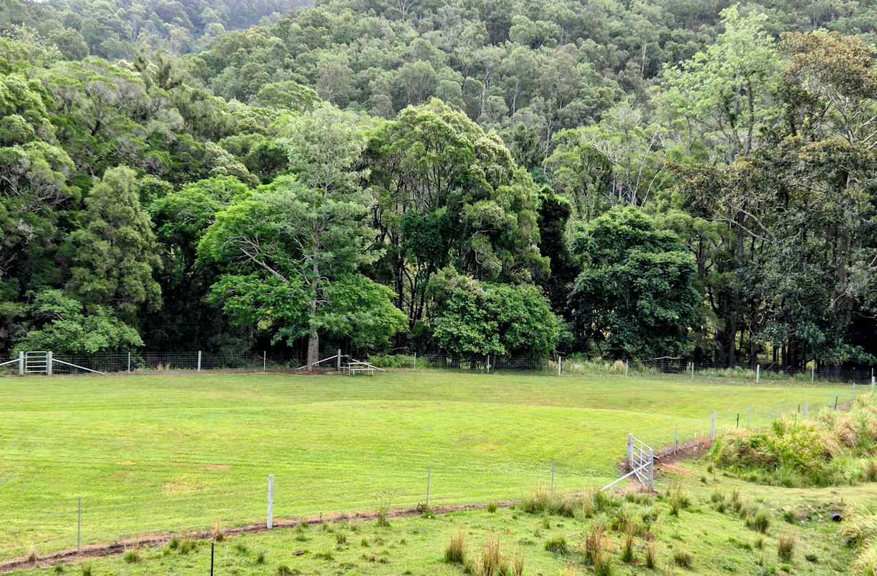 The Orchard - Fully fenced camp sites. Plenty of space. Perfect for groups.