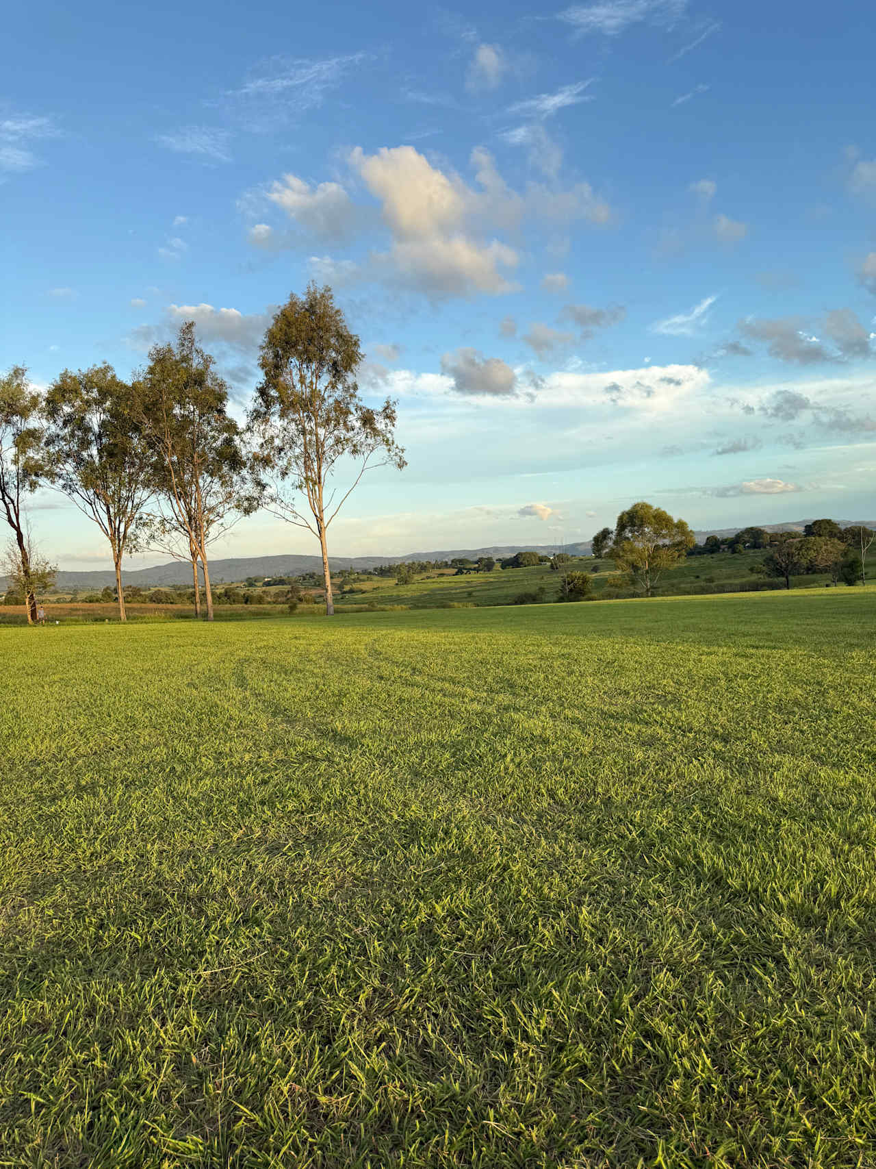 Olive View Estate - Stunning Views