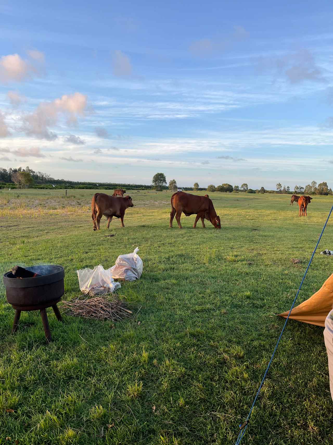 Kolan River Retreat