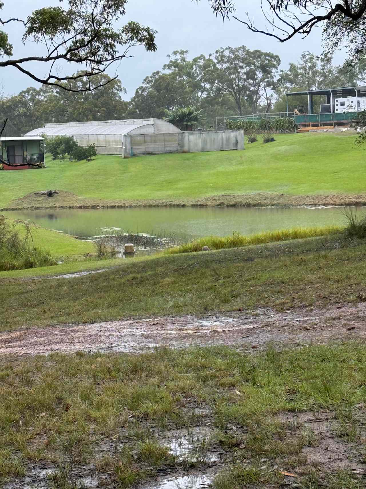 Mt Nellinda Campsite