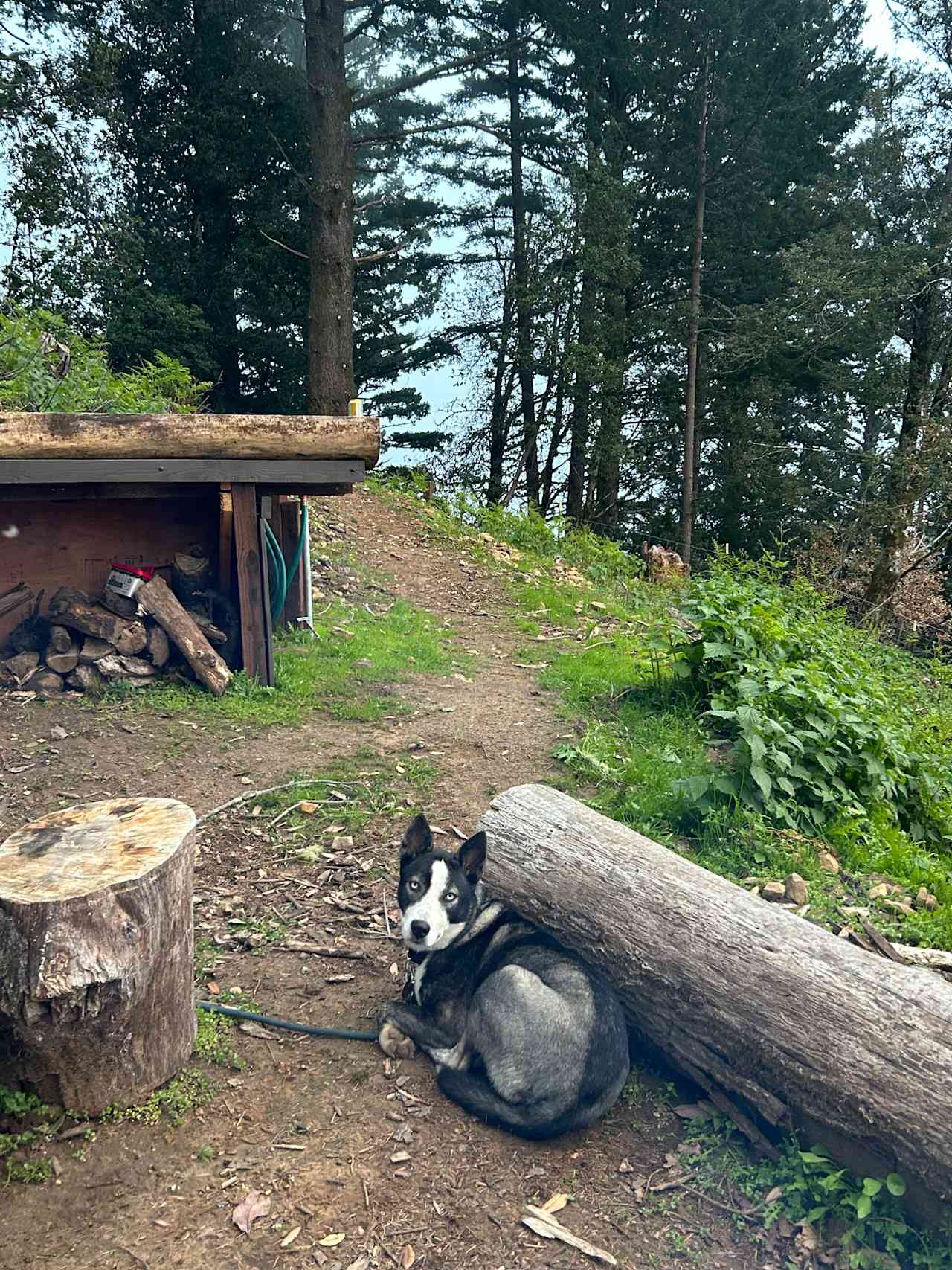 Kings Mountain Camp w/ ocean views