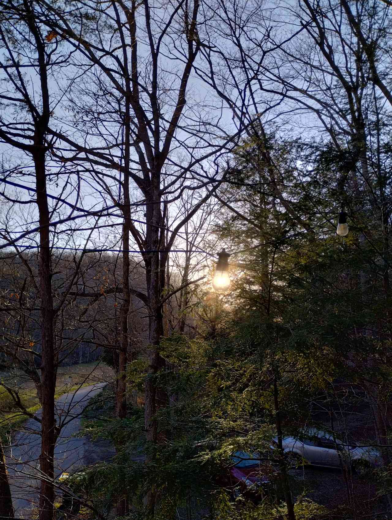 Caught the sun through one of the bulbs 