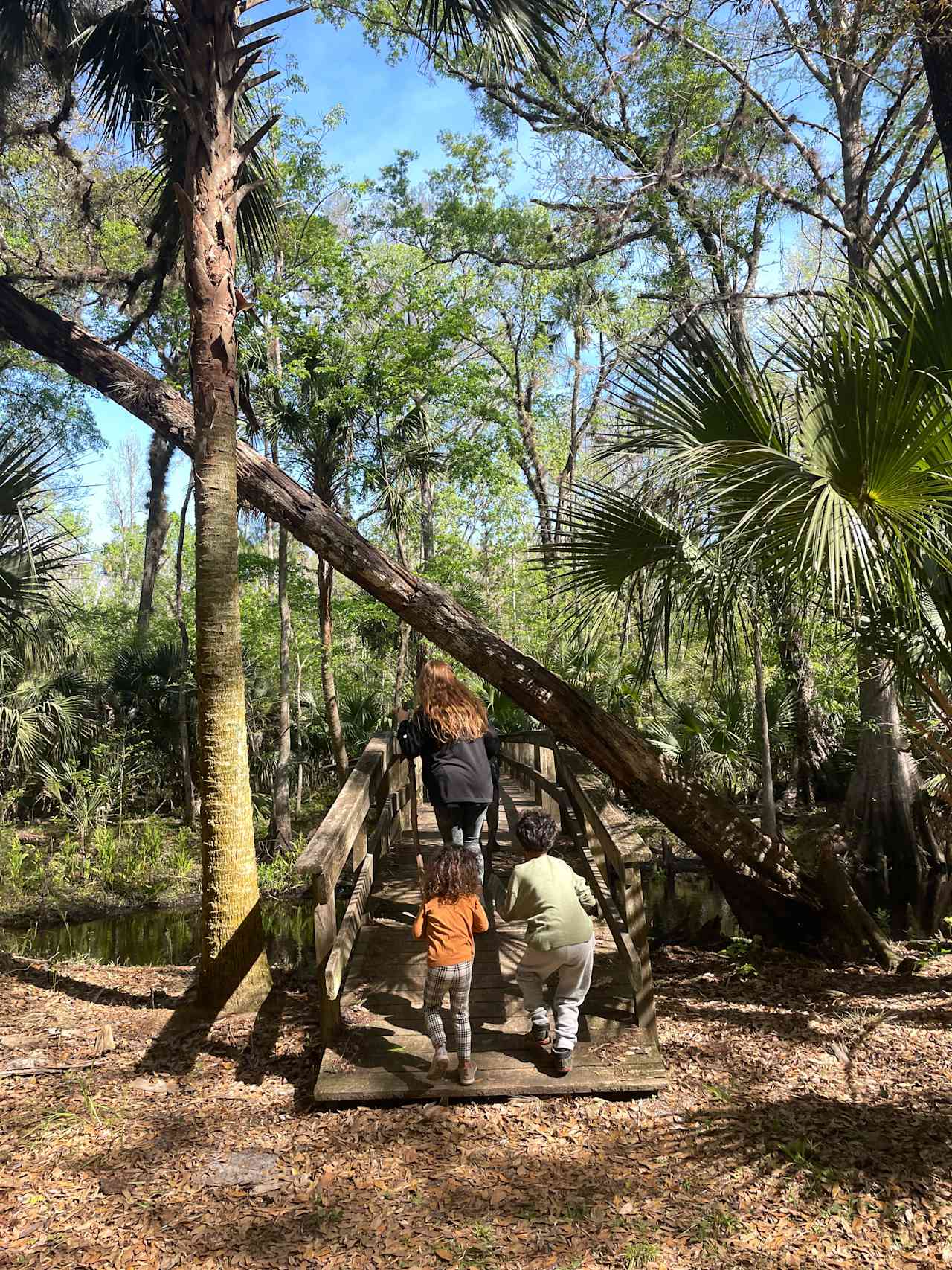 Camp Seminole Springs