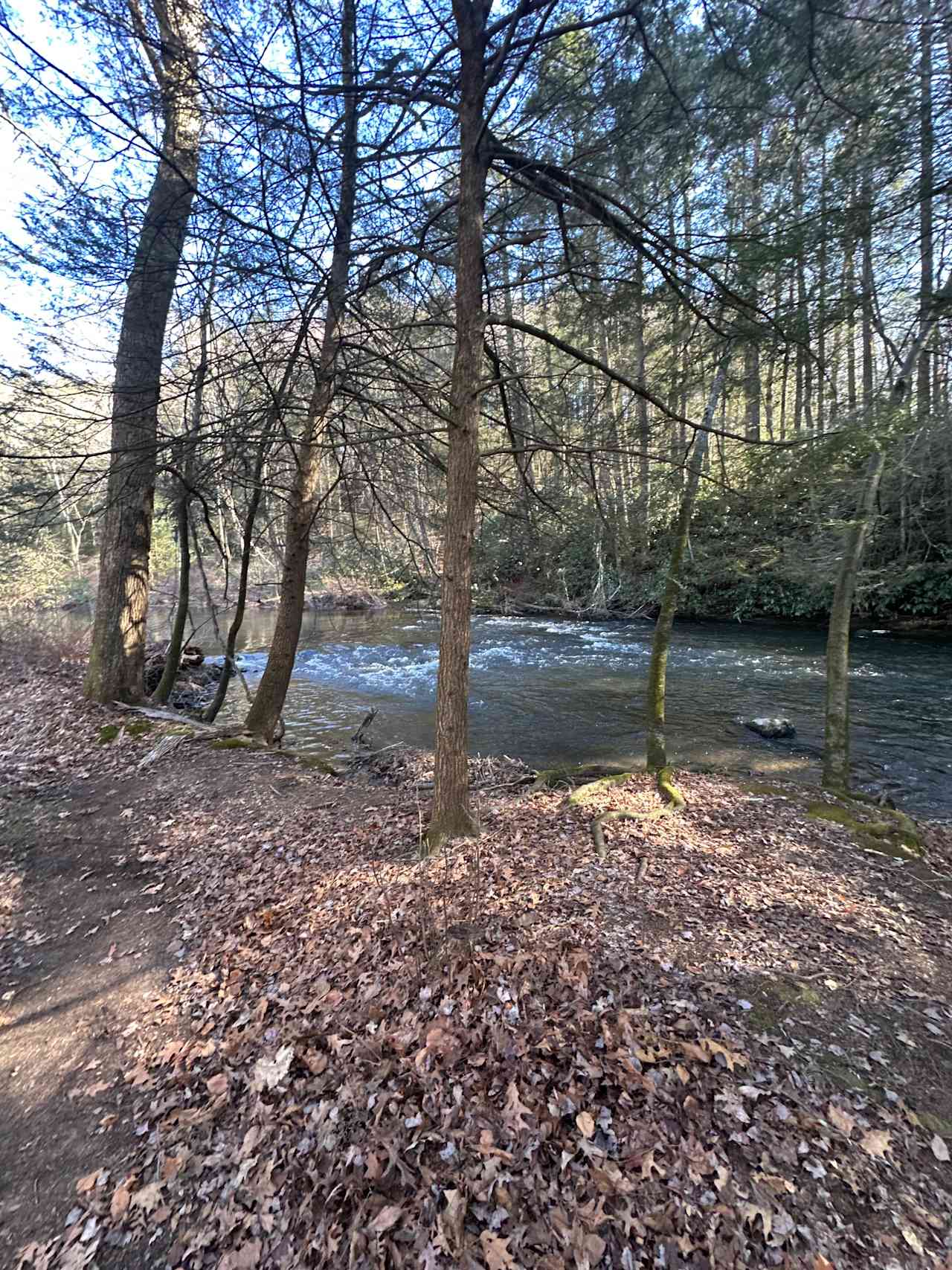 Streamside Acres