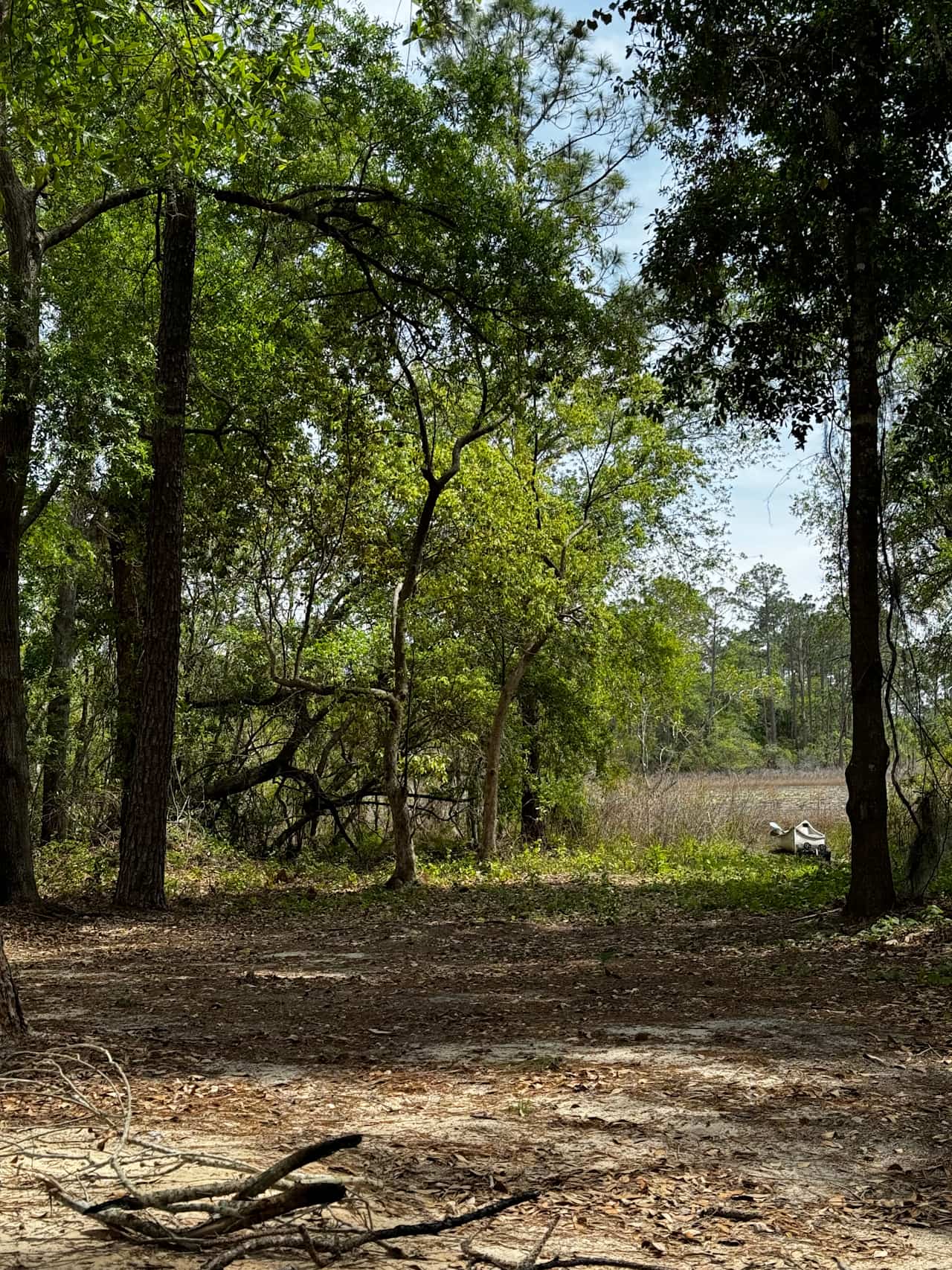 20 Acres Pond at Green Swamp
