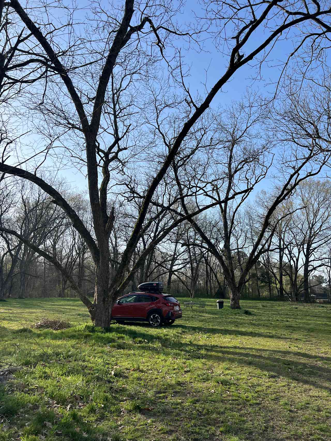 Pecan Grove Parking
