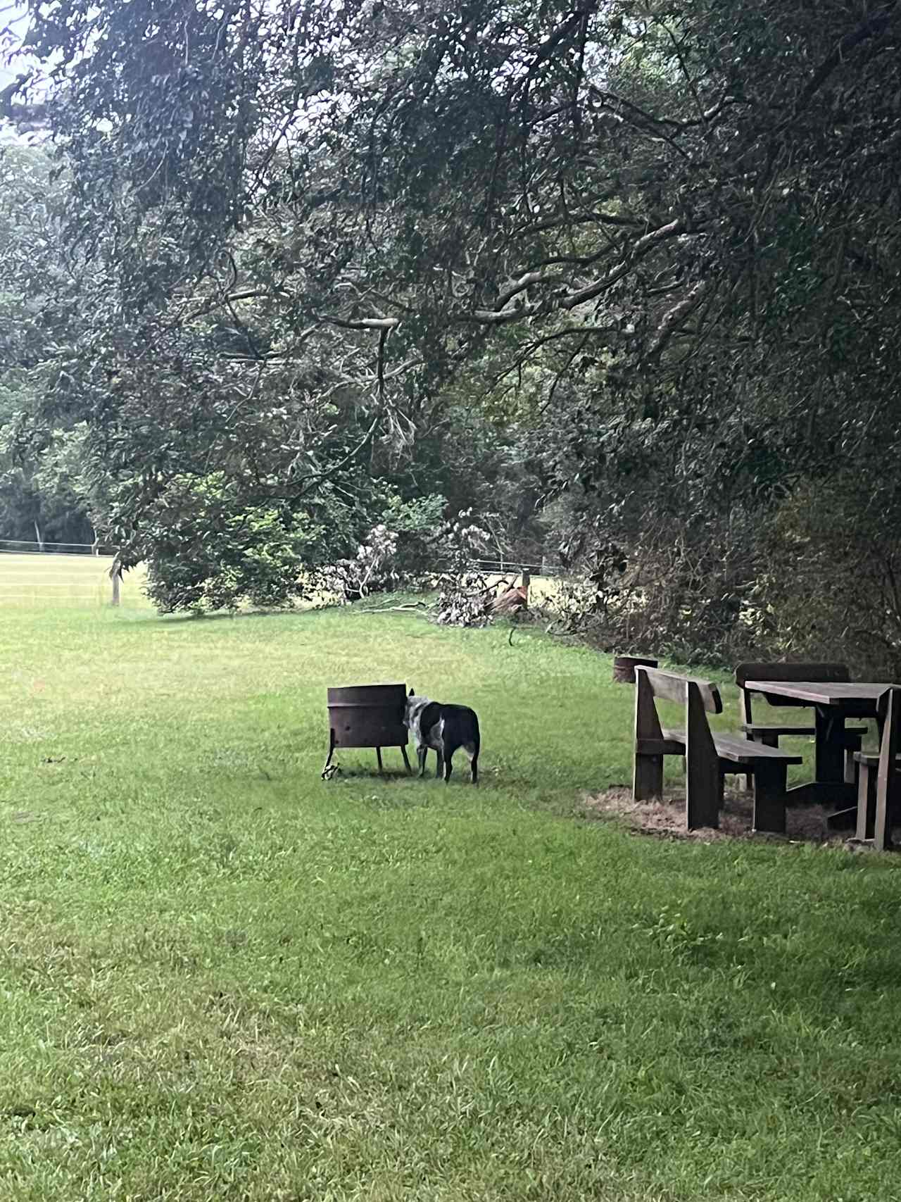 Tucker’s rest