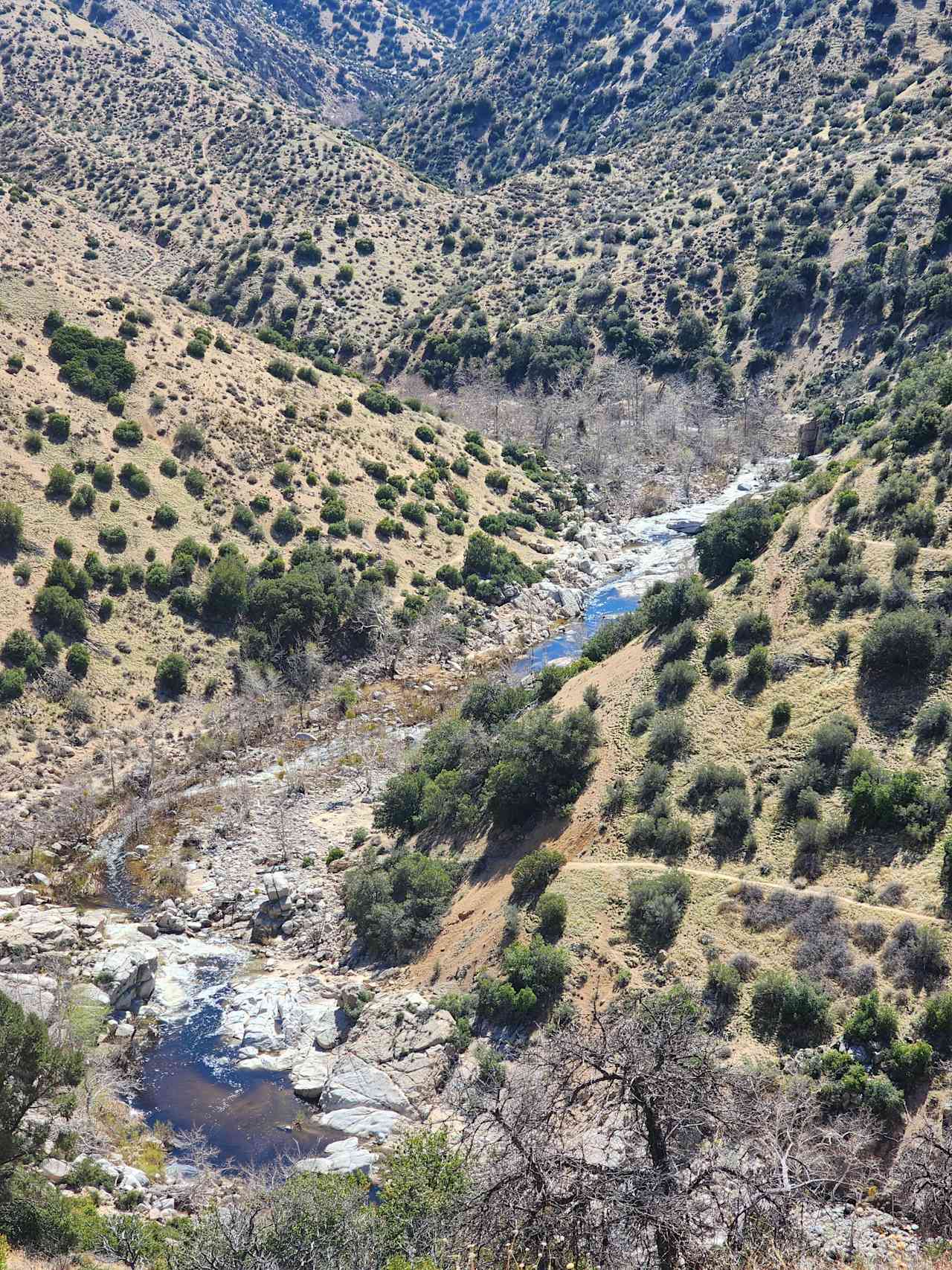 Deep creek trail hike to the hot springs. Bring WATER
