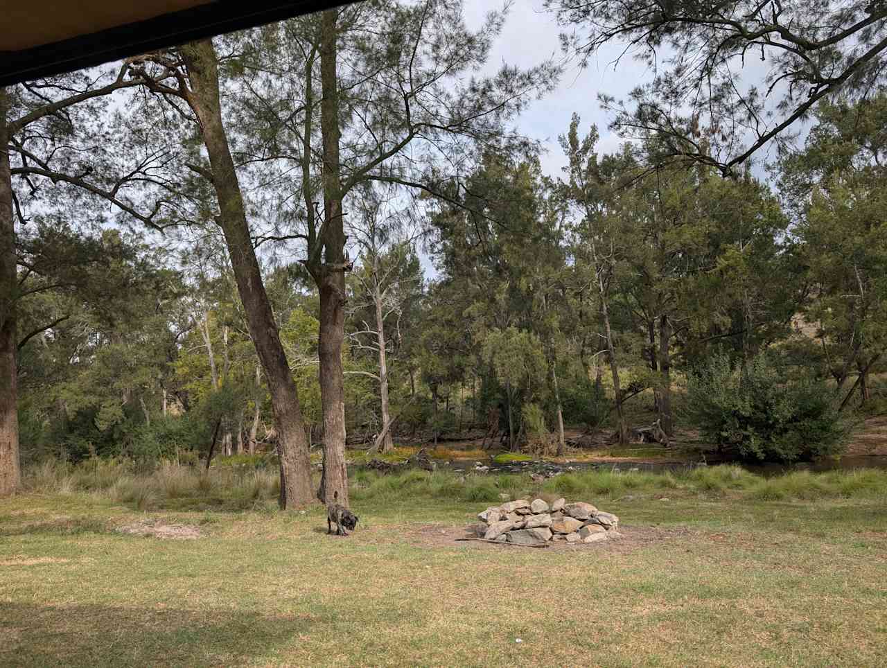 Little friend came for a visit 