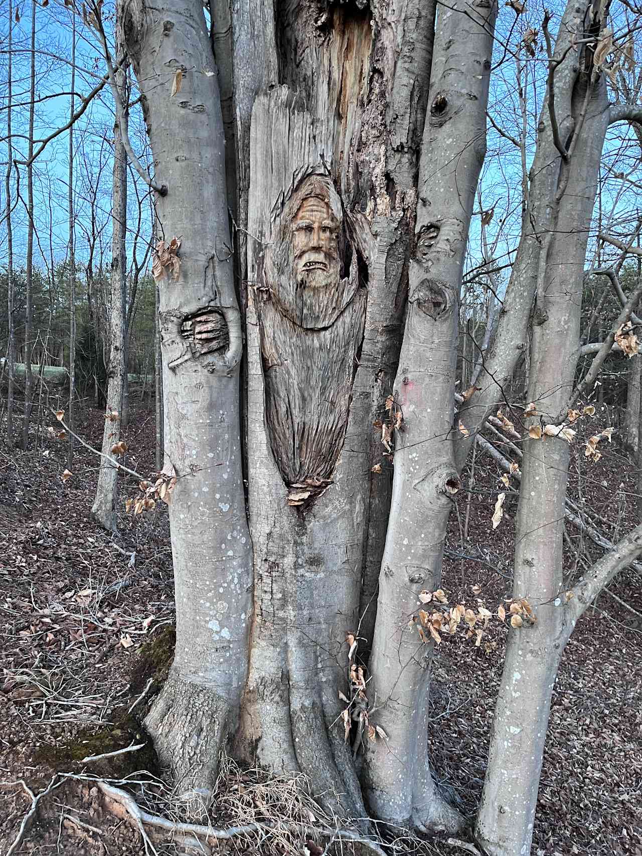 Mystic Meadow Love Shack