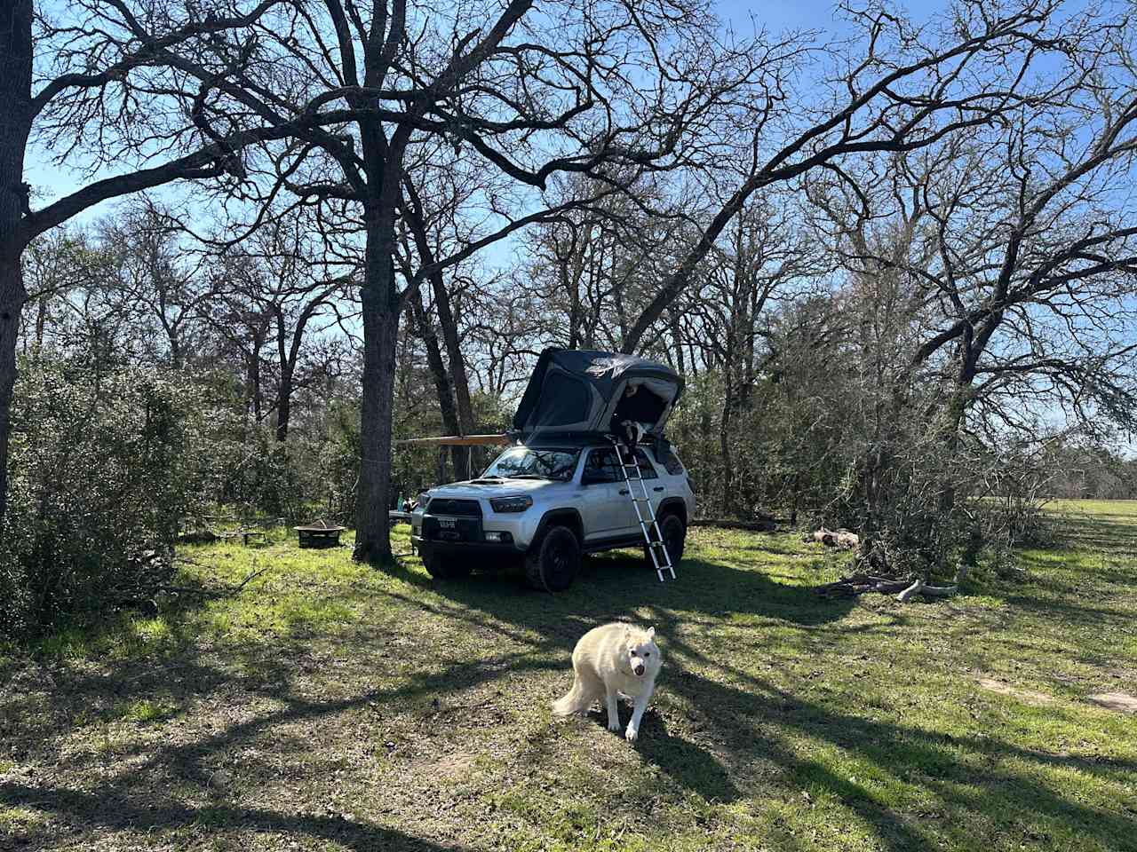 Starlove Ranch & Animal Sanctuary