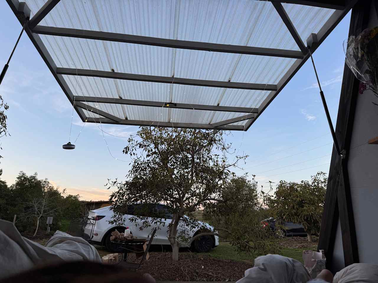 Coyote Cabana