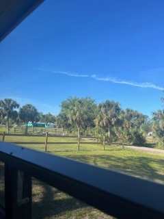 Morning View