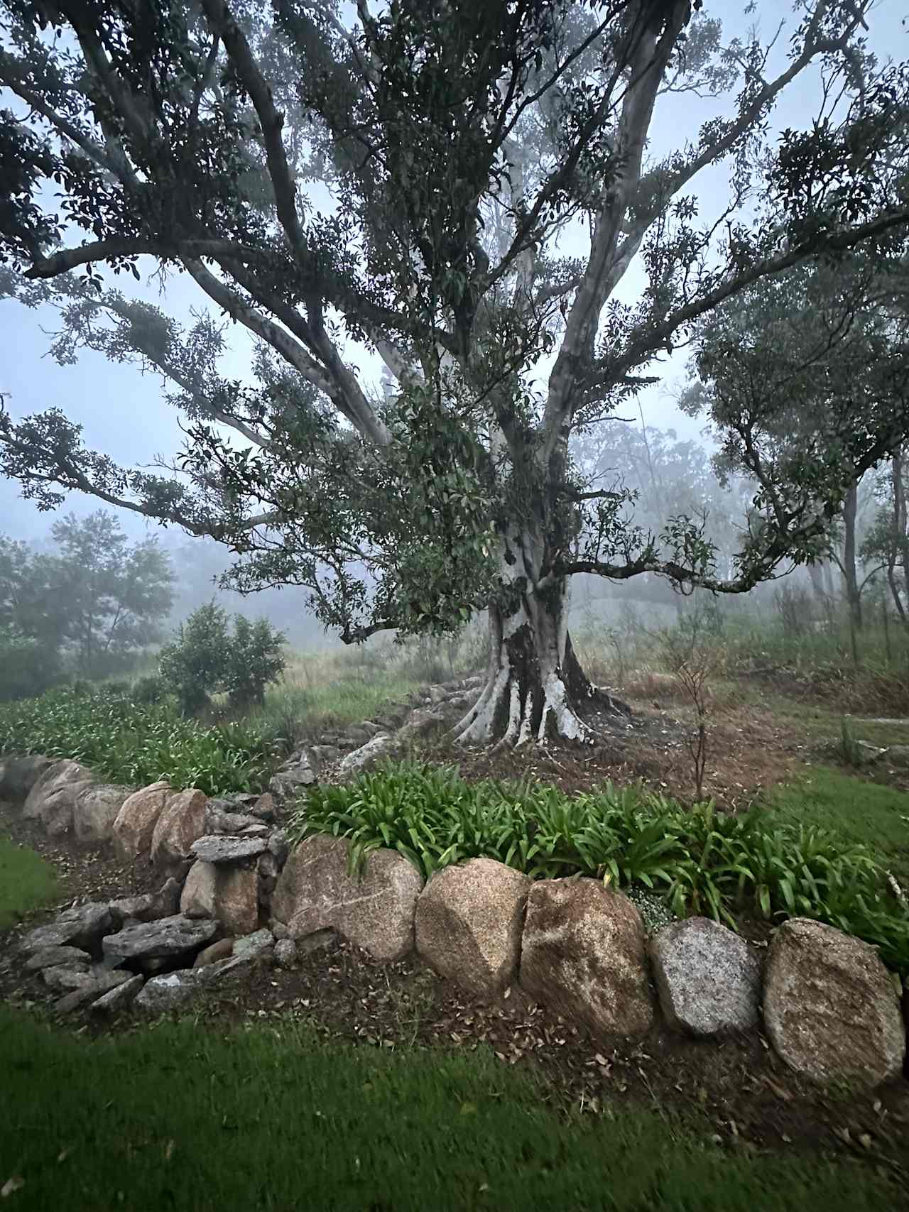 Cullendore High Country