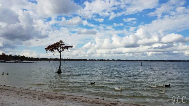 Camp Clearwater