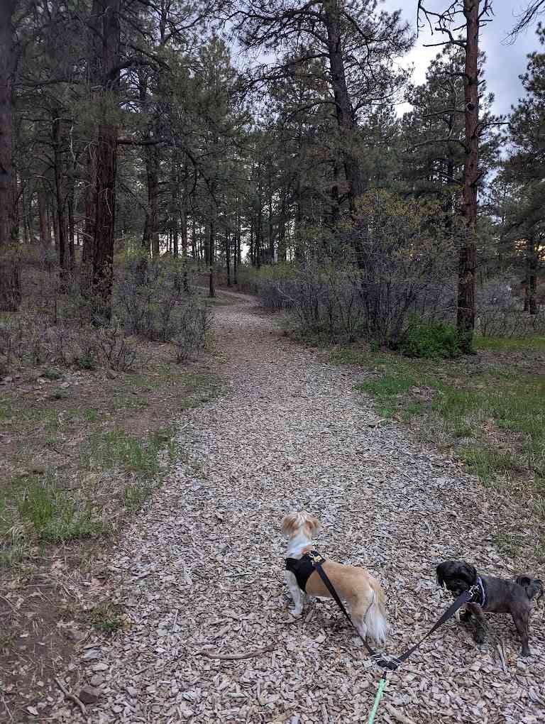 Pagosa Pines RV Park