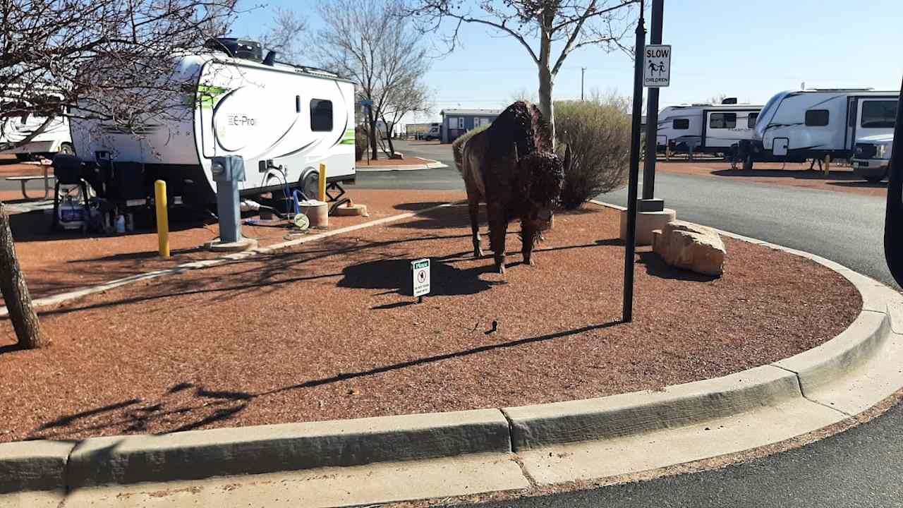 High Desert RV Park